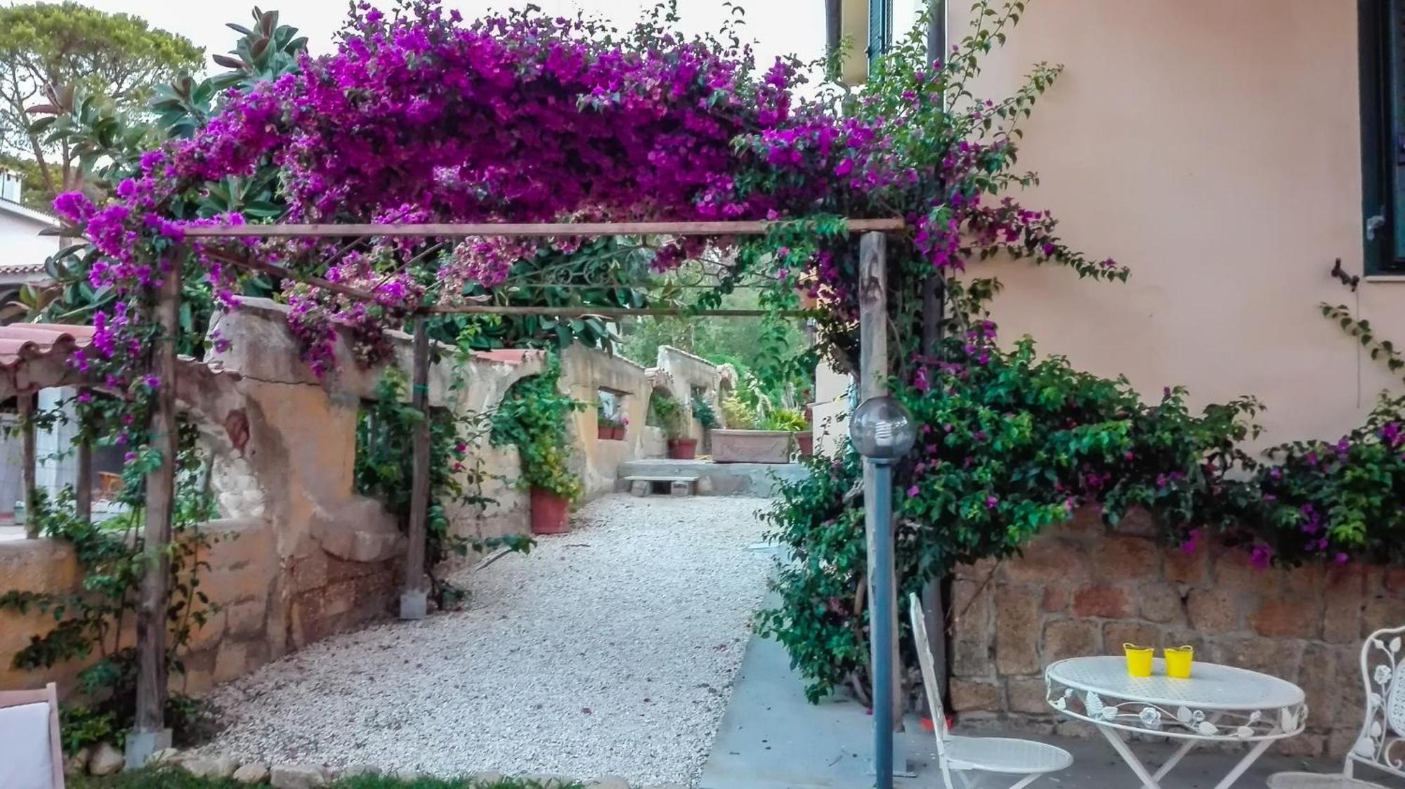 B&B Giglio Di Mare Cala Liberotto Εξωτερικό φωτογραφία