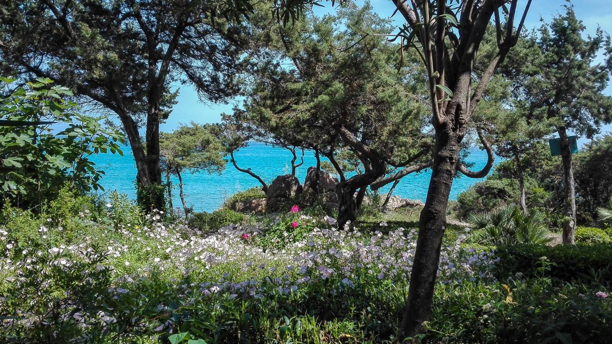 B&B Giglio Di Mare Cala Liberotto Εξωτερικό φωτογραφία